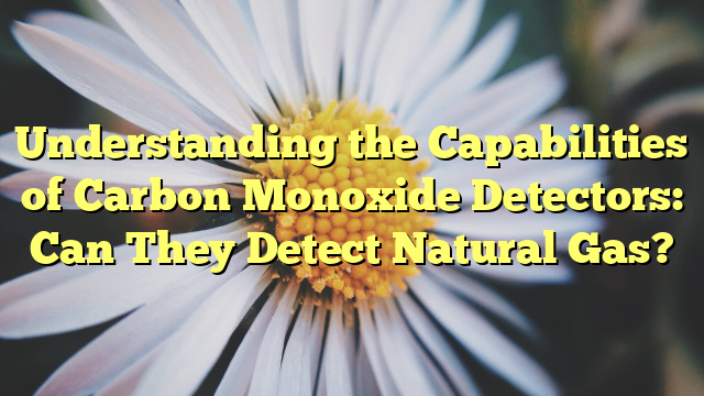 Understanding the Capabilities of Carbon Monoxide Detectors: Can They Detect Natural Gas?