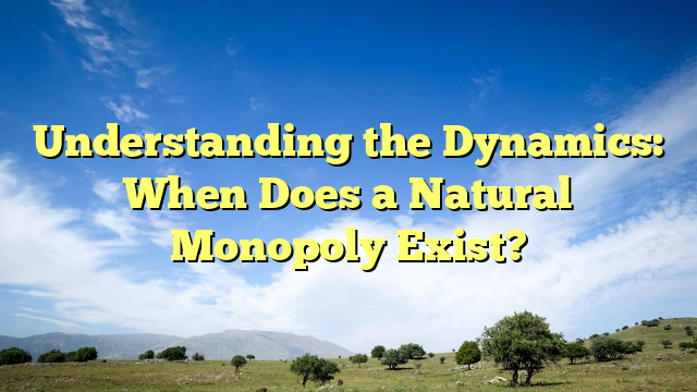Understanding the Dynamics: When Does a Natural Monopoly Exist?
