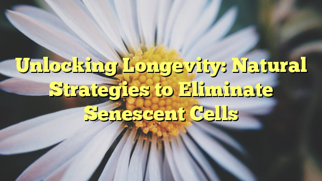 Unlocking Longevity: Natural Strategies to Eliminate Senescent Cells