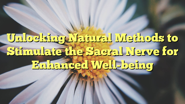 Unlocking Natural Methods to Stimulate the Sacral Nerve for Enhanced Well-being