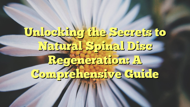 Unlocking the Secrets to Natural Spinal Disc Regeneration: A Comprehensive Guide