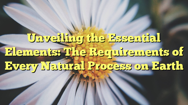 Unveiling the Essential Elements: The Requirements of Every Natural Process on Earth