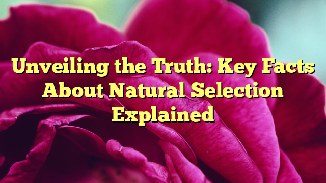 Unveiling the Truth: Key Facts About Natural Selection Explained